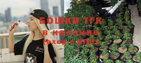 прущие грибы Абинск