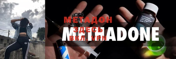 прущие грибы Абинск