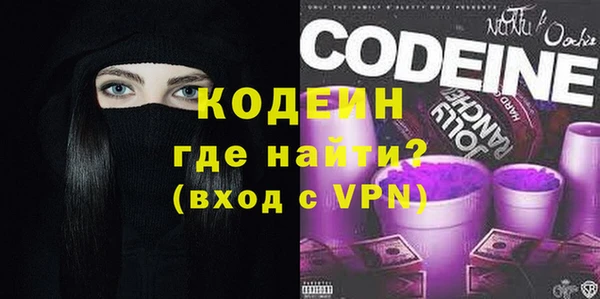прущие грибы Абинск