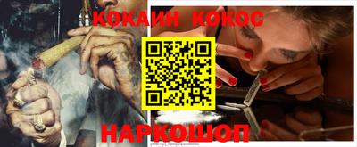 стаф Гудермес