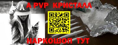 стаф Гудермес