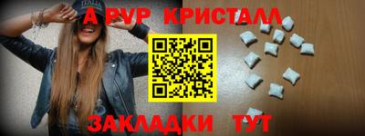 стаф Гудермес