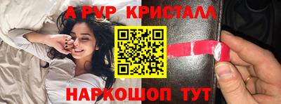 стаф Гудермес