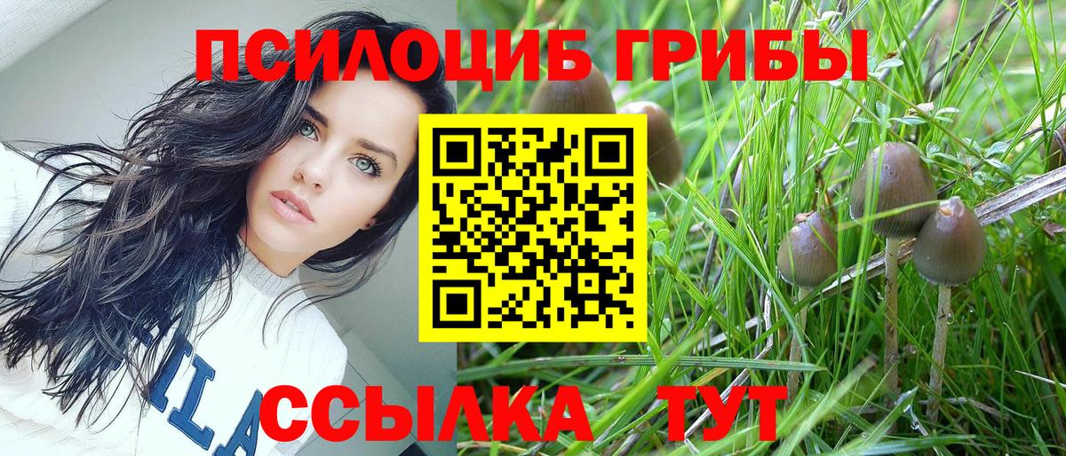 Галлюциногенные грибы GOLDEN TEACHER  Псилоцибиновые грибы прущие грибы  Батайск  Вход с VPN 