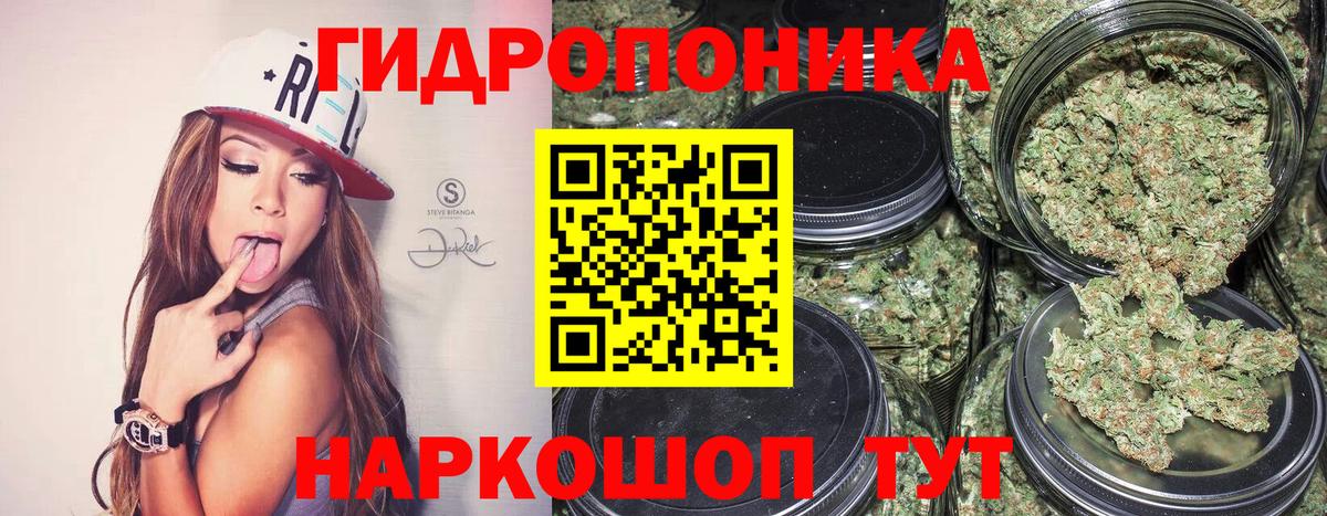 Бошки марихуана Ganja  Каннабис гибрид  Вход с VPN  Каннабис гибрид  Батайск 
